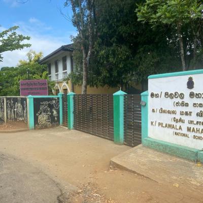 විශේෂ අවස්ථා